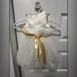 Pet White Dress with Gold Ribbon